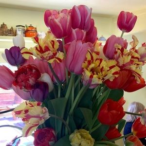 Meet your Posher, Ingrid